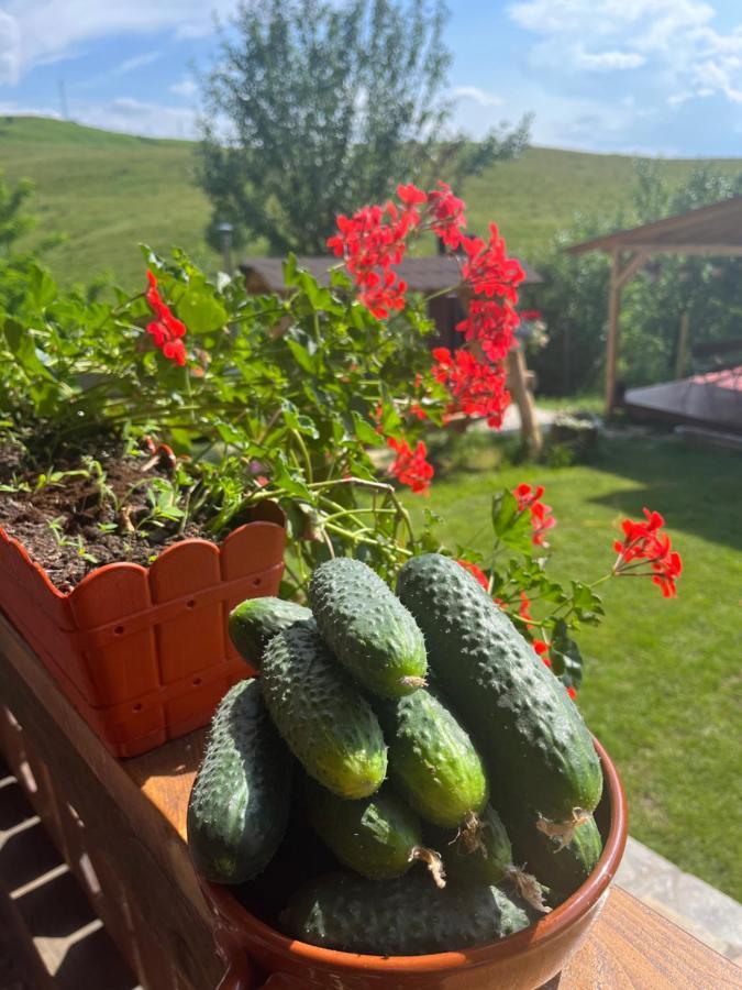 Casa Eden Fit Villa Faget  Kültér fotó