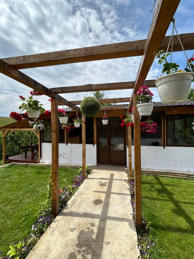 Casa Eden Fit Villa Faget  Kültér fotó