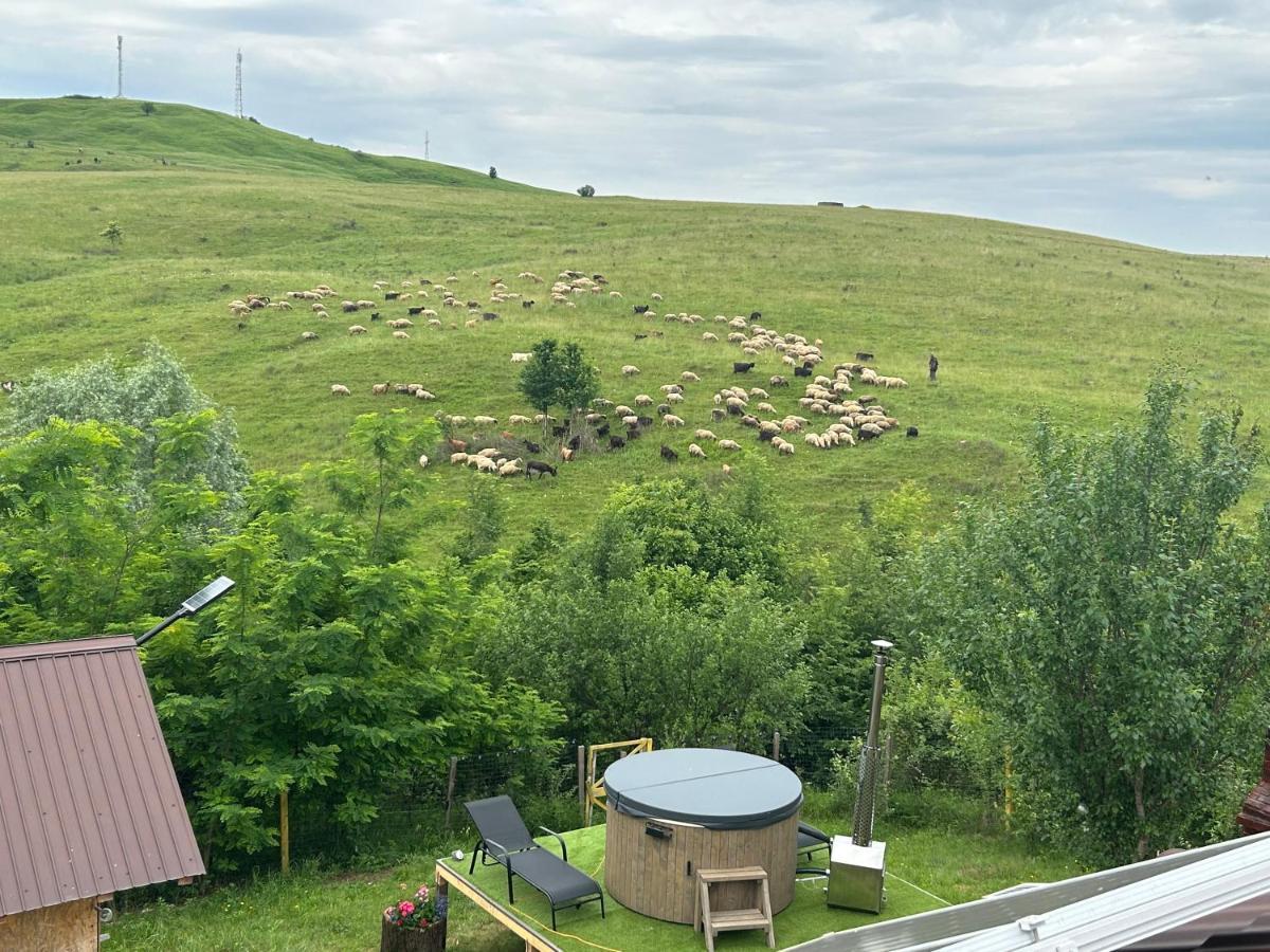 Casa Eden Fit Villa Faget  Kültér fotó